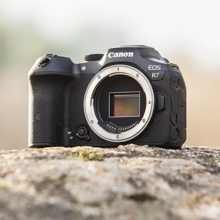 Image du produit Canon EOS R7 (32.50 Mpx, APS-C / DX)