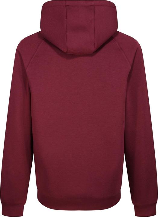 Image du produit Regatta Sweat à capuche original pour hommes (L)