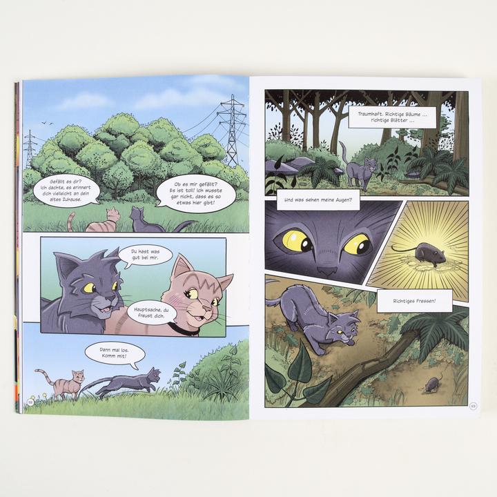 Immagine prodotto Warrior Cats - Graustreifs Weg zurück (Tedesco, Cacciatore di erin, Dan Jolley, 2024)