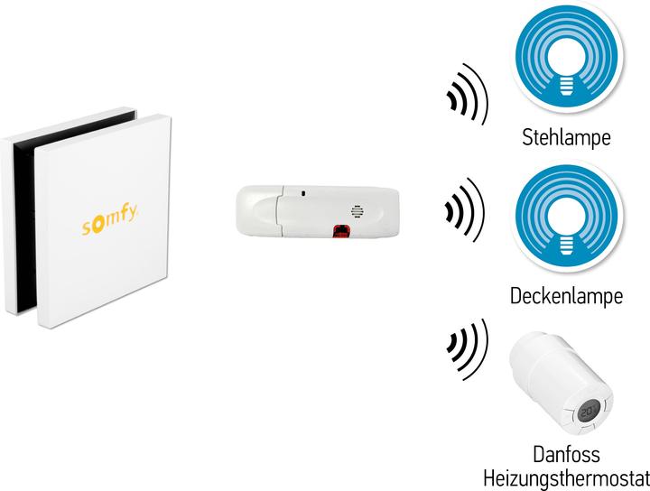 Actual product image somfy TaHoma