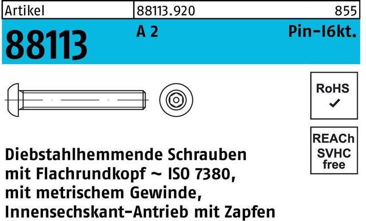 Image du produit Vis R 88113 antivol, à tête cylindrique. 6 pans creux Tourillon M 10 x 30 A 2 (100 Vis par pièce)