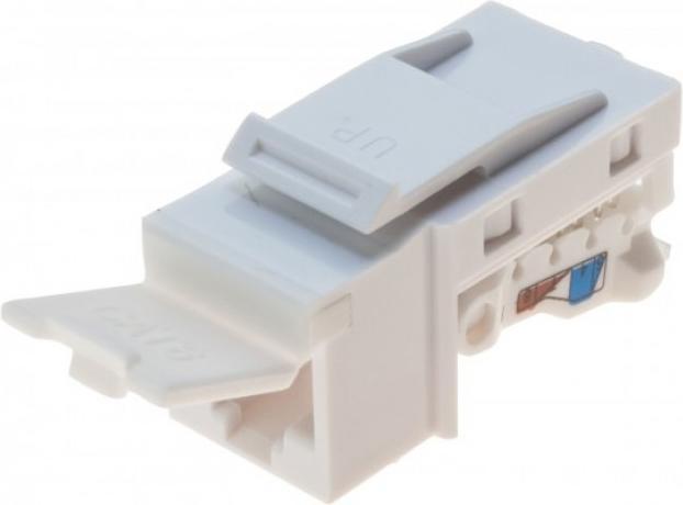 Tecline Presa di connessione RJ45, Cat.6 UTP, formato keystone Per l'installazione in rack di moduli, prese