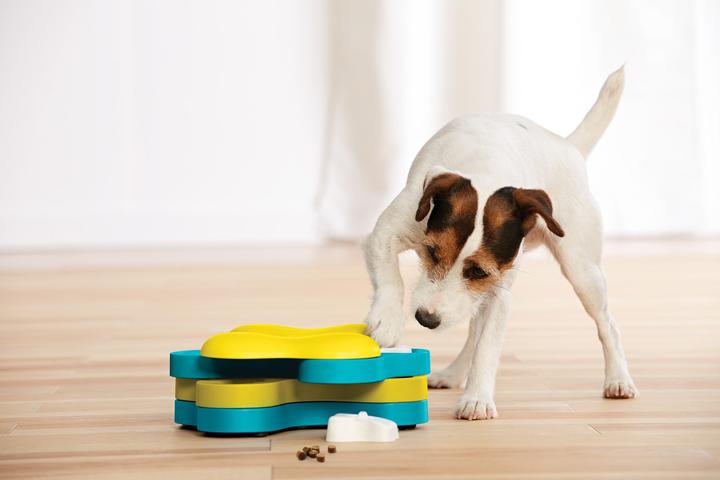 Produktbild Nina Ottosson Dog Tornado (Intelligenzspielzeug Hund)