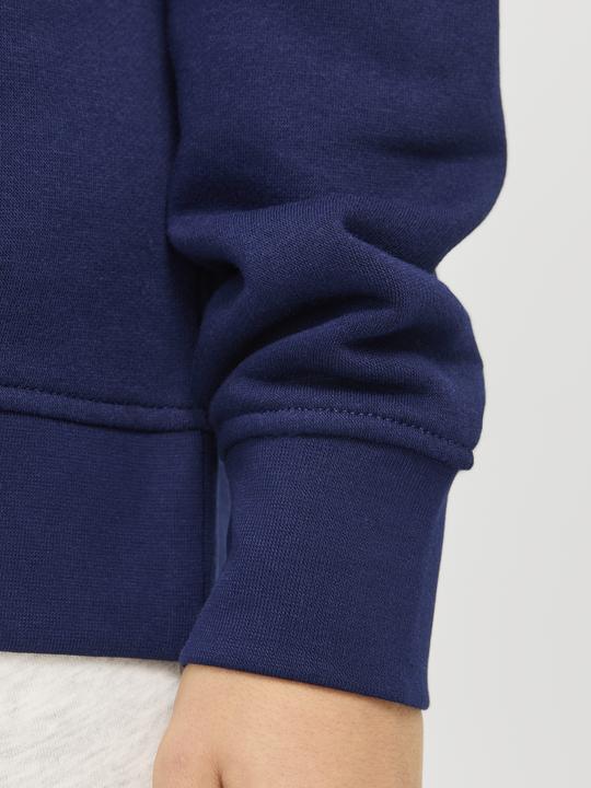 Immagine prodotto Jack & Jones Jorvesterbro Sweat Crew Neck Noos Jnr (140)
