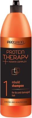 Chantal Prosalon Protein Therapy Keratin Complex 1 Shampoo For Dry And Damaged Hair Restorative (Flüssiges Shampoo)