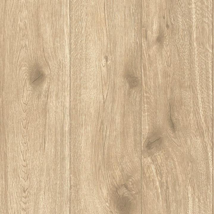 Image du produit A.S. Création Aspect bois Best of Wood'n Stone (53 x 1005 cm)