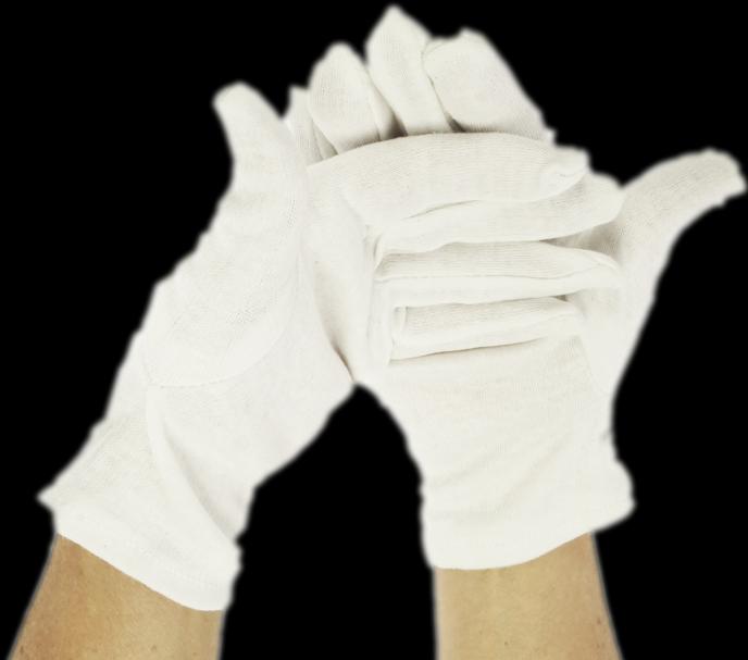Image du produit Gant en coton blanc (paire) taille M (8), longueur 24 cm (M)