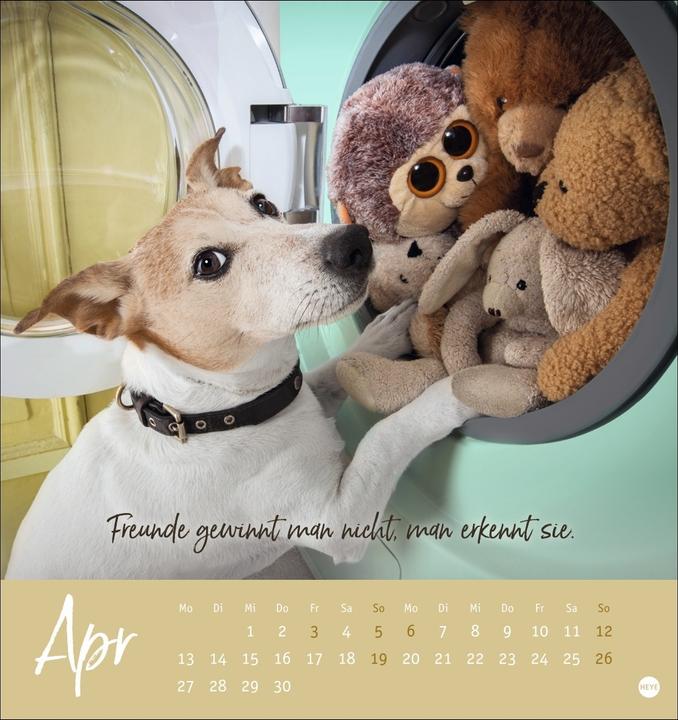 Image du produit Ziemlich beste Freunde Postkartenkalender 2026 - Für immer dein (Couverture rigide, Allemand)