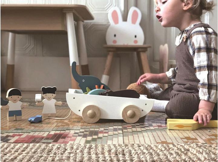Immagine prodotto Tender Leaf Toys Barca con animali