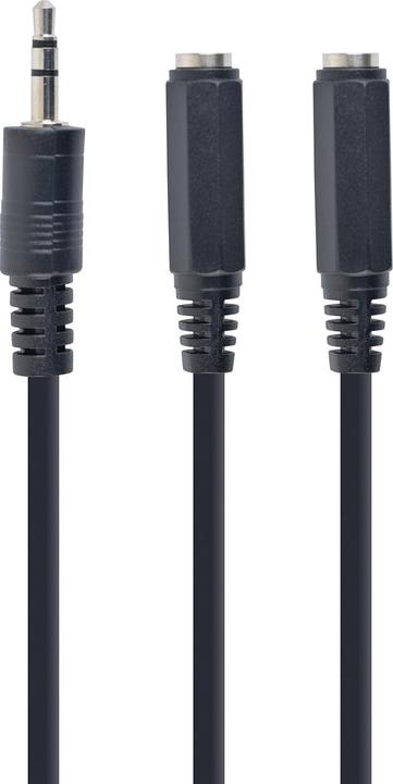 Image du produit Gembird CCA-415-0.1M Câble audio 0,1 m 3,5mm 2 x 3,5mm noir (0.10 m, Jack 3,5 mm (AUX))