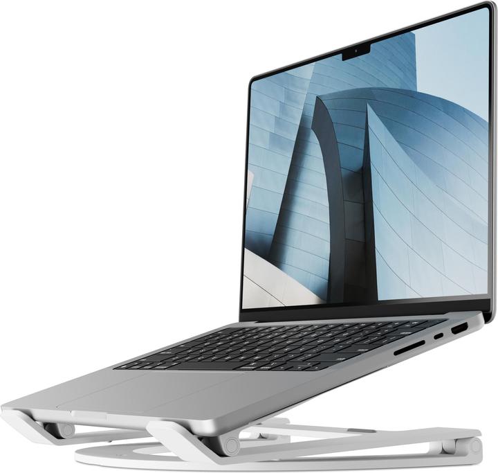 Actual product image TwelveSouth Curve Flex