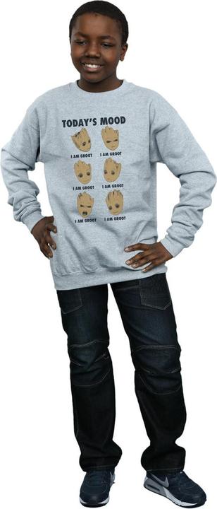 Produktbild Guardians Of The Galaxy Groot Today's Mood Sweatshirt Jungen (140, 146)