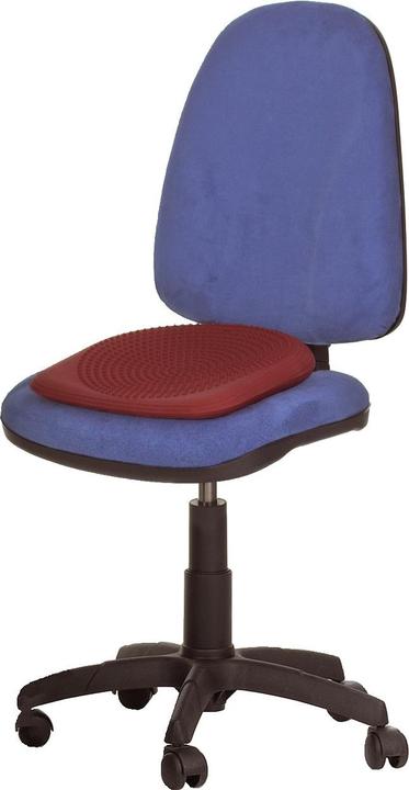 Actual product image Togu Dynair wedge ball pillow
