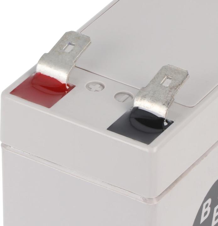 Immagine prodotto AccuCell Batteria come Panasonic UP-RW1220P1, UP-VW1220P1 (12 V, 4.20 Ah)