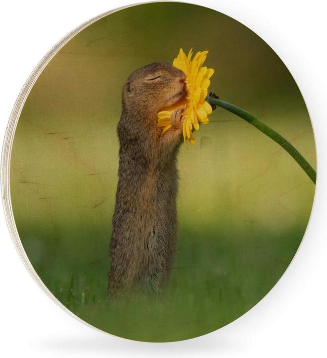 Actual product image Trenddeko van Duijn - Gopher smells flower (Ø 30 cm)