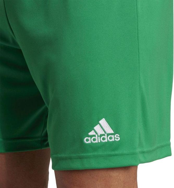Actual product image adidas Entrada 22 Shorts (XL)