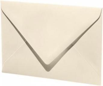 Immagine prodotto Artoz Buste 1001 avorio 5 pz. (E6, 5 x)