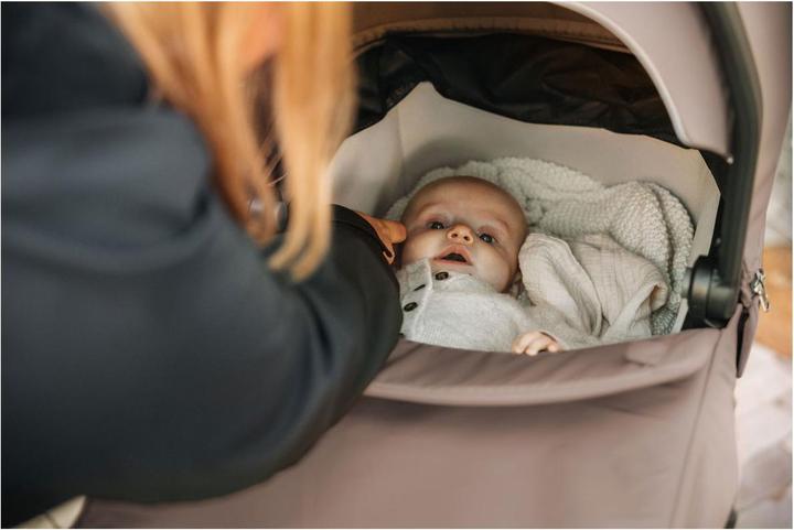 Immagine prodotto Thule Urban Glide und Spring Bassinet