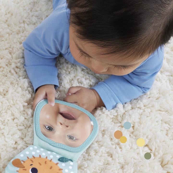 Produktbild Fisher-Price 2-in-1 Bauchlage Otter (11 cm)
