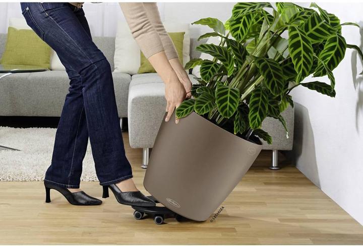Produktbild Lechuza Rolluntersatz, CLASSICO 50, QUADRO 50, CUBE 40, CURSIVO 40, CANTO 40