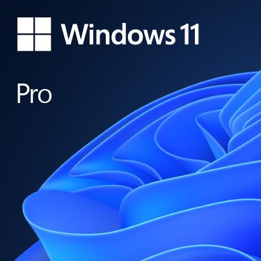 Microsoft Windows 11 Pro (1 Utente, Senza limiti)