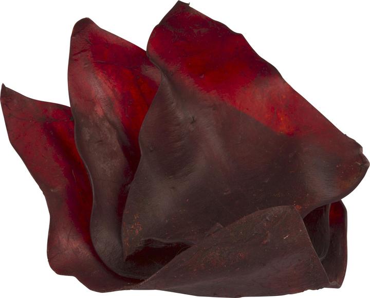 Immagine prodotto Kerbl Orecchie di manzo tinte (Junior, Adulto, Senior, 10 pz., 78 g)