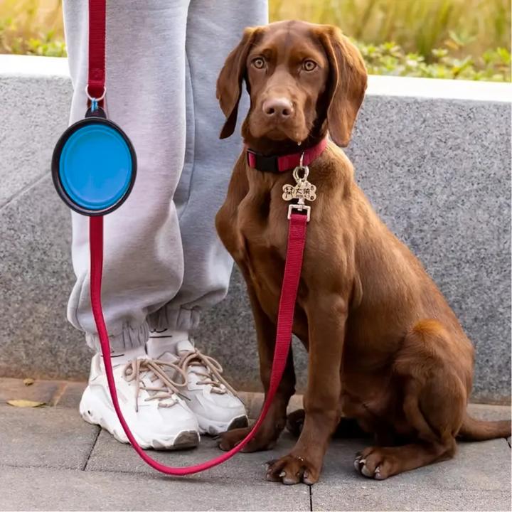 Image du produit Suba Gamelle pliante pour chien en déplacement, 350 ml (0.35 l)