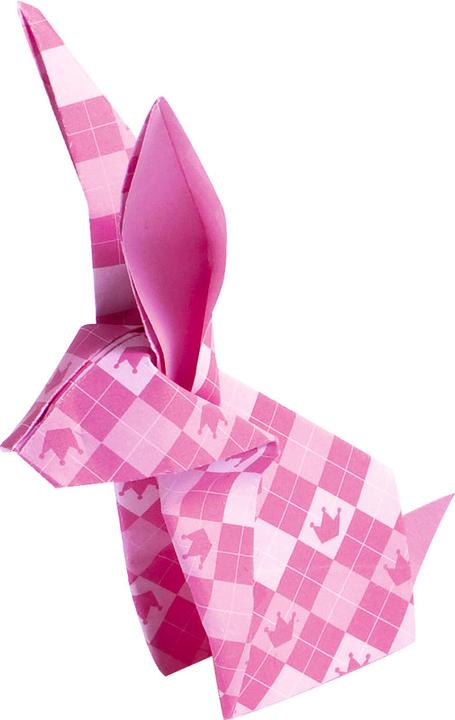 Produktbild Folia Faltblätter Kinderspass (80 g/m², 50 x)