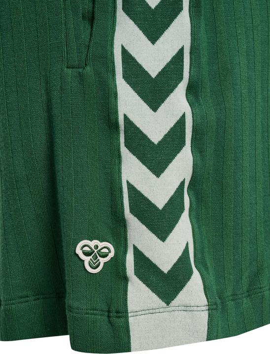Image du produit hummel Short Hmlarchive Regular (S)