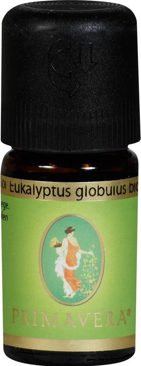 Produktbild Primavera Ätherisches Öl-Duftmischung "EUKALYPTUS GLOBULUS BIO"