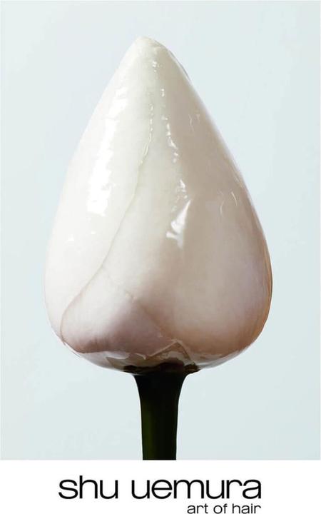 Actual product image Shu Uemura Essence Absolue Nourishing Protective Oil (150 ml)