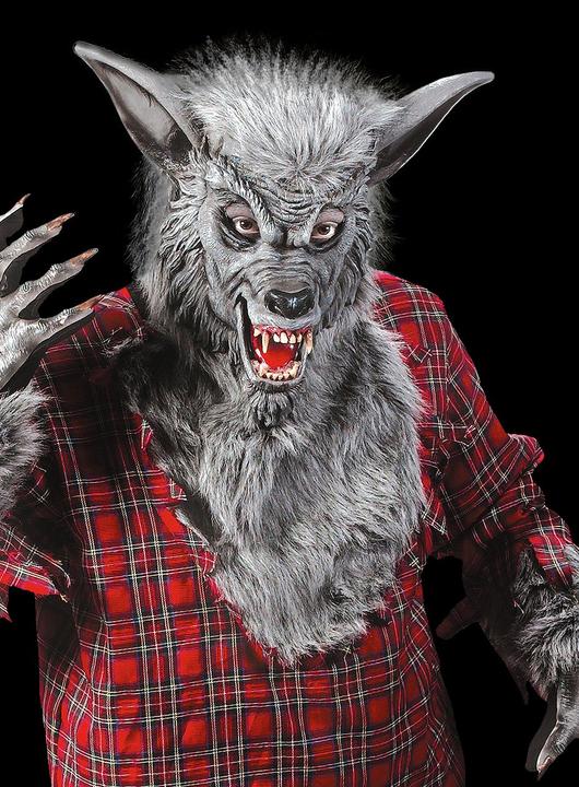 Produktbild Fun World Division Werwolf grau
