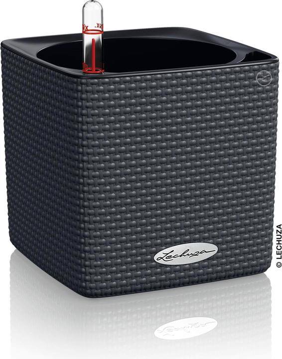 Actual product image Lechuza Cube Color (14 cm)
