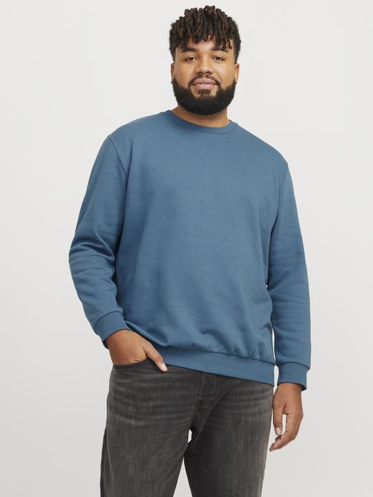 Actual product image Jack & Jones Jjebradley Sweat Crew Noos Pls (6XL)