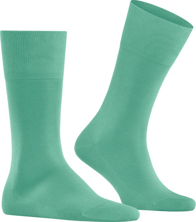 Actual product image Falke Tiago Men (43 - 44)