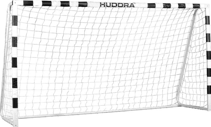 Actual product image Hudora Pro Tect 240