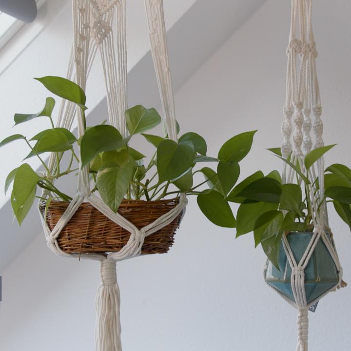 Actual product image Esmée Makramee Pflanzenaufhänger Dekoration Geknüpftes Boho Accessoire 4er Set (28.50 cm)