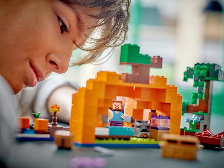 Actual product image LEGO The pumpkin farm (21248, LEGO Minecraft)