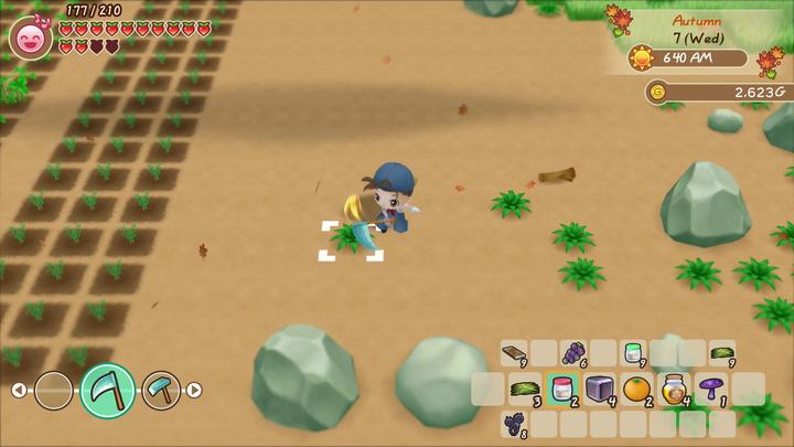 Actual product image Marvelous Story of Seasons : Friends of Mineral Town (Switch, FR)