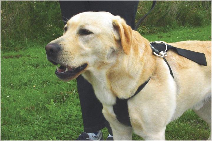 Produktbild Beeztees Bz Auto Sicherheitsgeschirr Hu (Hund, Reflektoren)