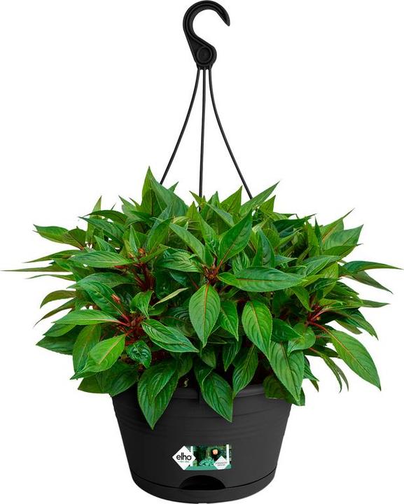 Produktbild Elho Blumenampel-Set Green Basics Kunststoff Ø 28 H 18 cm schwarz inkl. Halterung und Untersetzer (29 cm)