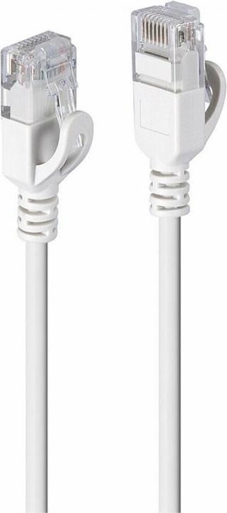 Actual product image Lindy 0.3m Cat.6A U/FTP Ultra Slim network cable, grey RJ45 plug, 500MHz, copper, 30AWG (U/FTP, CAT6a, 0.30 m)