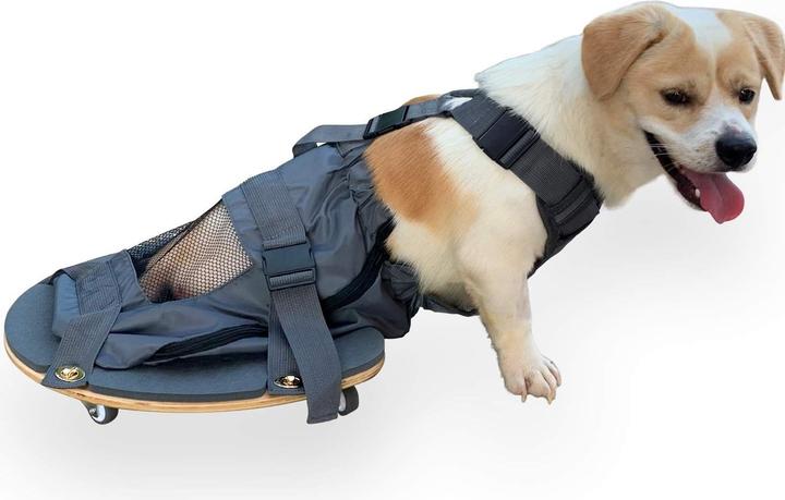 Immagine prodotto DerYEP Scooter per cani XXS (XXS, Cane, Generale)