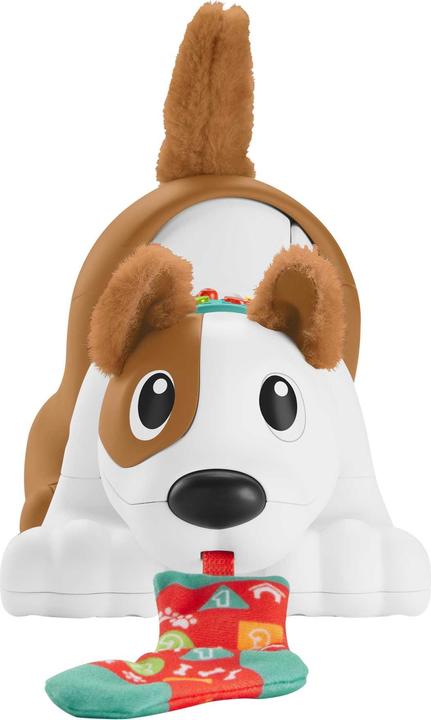 Actual product image Fisher-Price - 123 Crawl With Me Puppy-DU