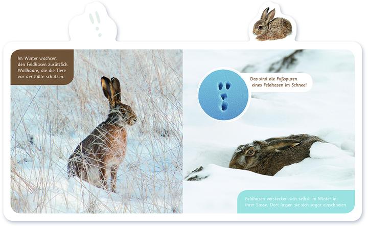 Actual product image Der Hase (German, Hannah Kastenhuber, 2022)