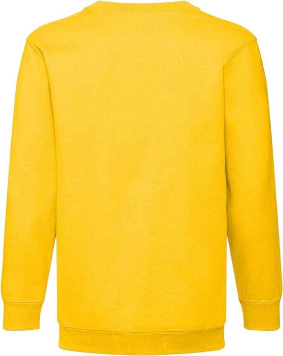 Image du produit Fruit of the Loom - Sweat CLASSIC - Unisexe (104)