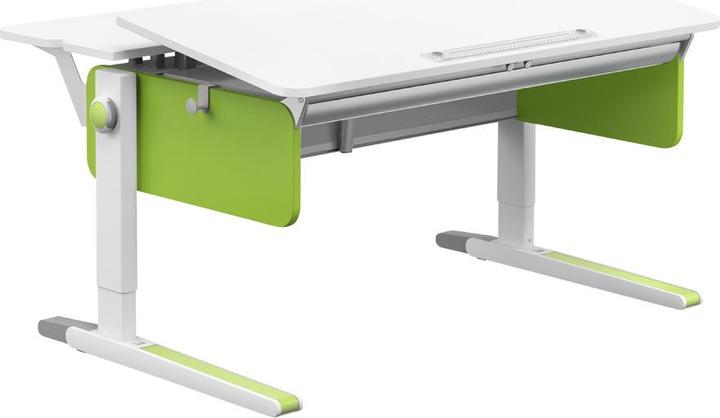 Actual product image Moll Champion (30 x 120 cm)