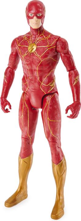 Actual product image Spin Master DC action figure