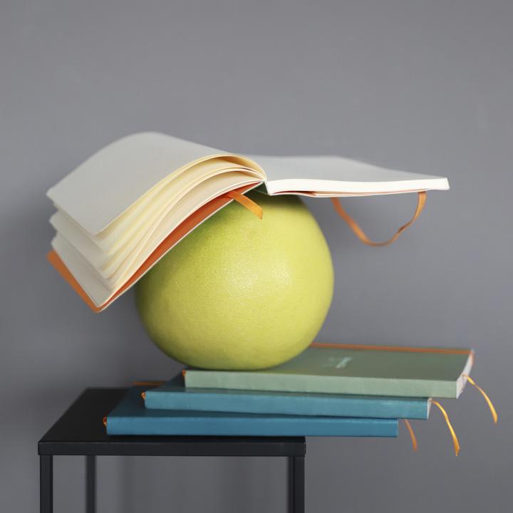 Actual product image Clairefontaine Notebooks and notebooks Rho (A5, Checked, Hardcover)