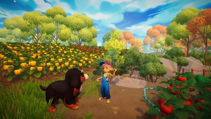 Image du produit Galaxy Games Everdream Valley SWITCH (Switch, Switch Lite, Switch OLED, DE)
